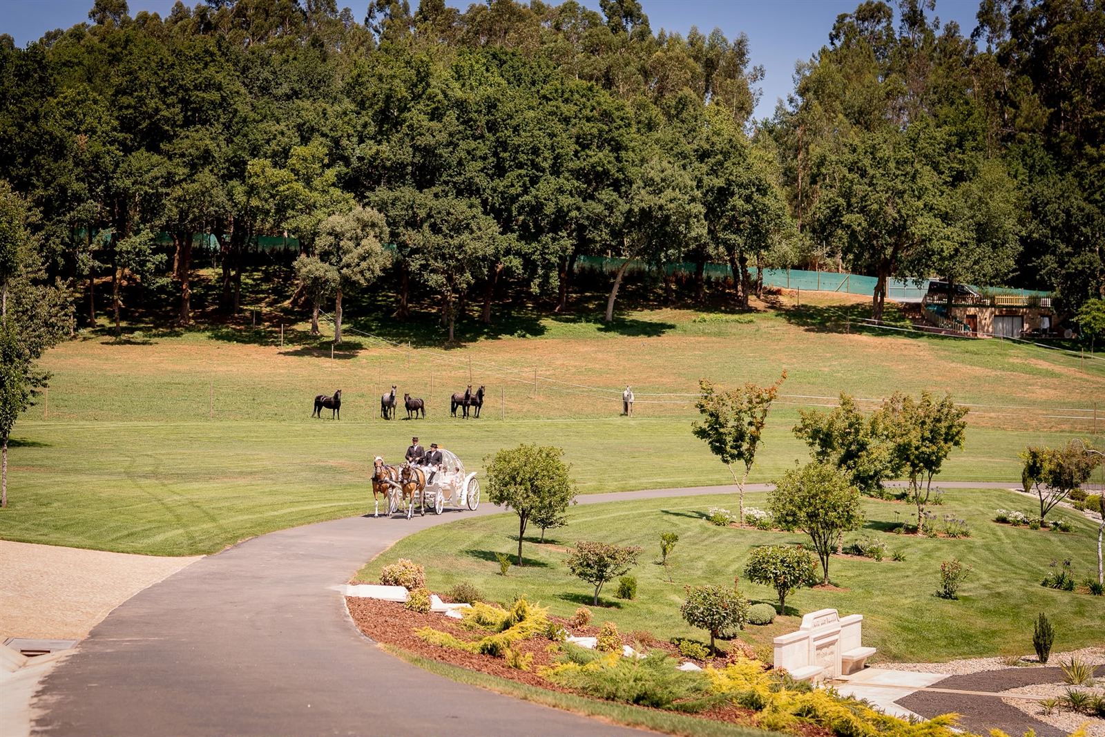 Carruaje de caballos recorriendo un jardín