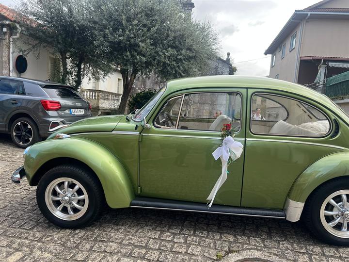Escarabajo verde decorado con lazo blanco
