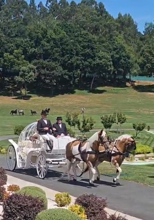 Llegada en carruaje blanco tirado por caballos